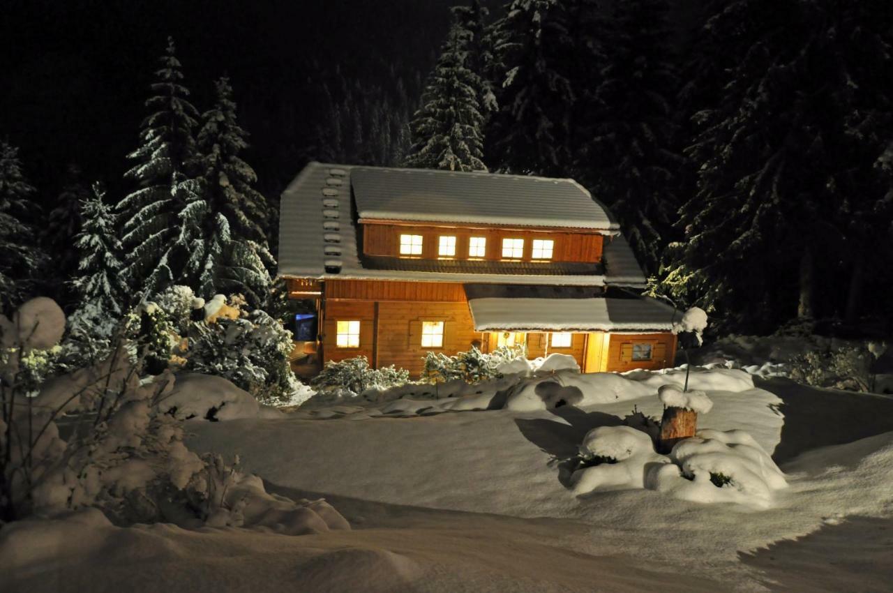 Chalet Styria Donnersbachwald Exteriér fotografie